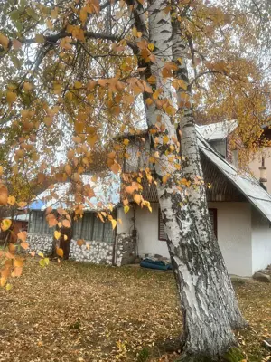 Teren intravilan Slanic - Prahova