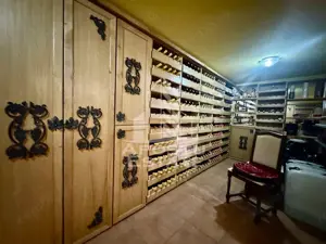 Casa Multifunctionala – Pensiune, Evenimente, Piscina si Crama - imagine 8