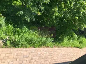 Vila 5 camere LUX "0 km" cu curte - Corbeanca - Paradisul Verde - imagine 11