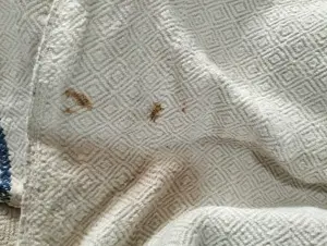 Lucruri tradiționale  - imagine 4