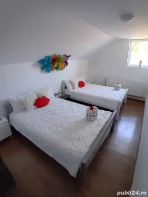 Camere de închiriat Trandafirilor ( Cabană cu piscină Bologa, Cluj) - imagine 2