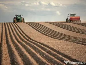 Vand teren agricol Com. Branceni