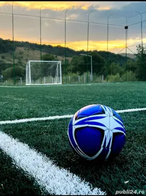 Camere de închiriat Trandafirilor ( Cabană cu piscină Bologa, Cluj) - imagine 5