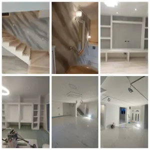 Execut lucrări în domeniul construcțiilor 