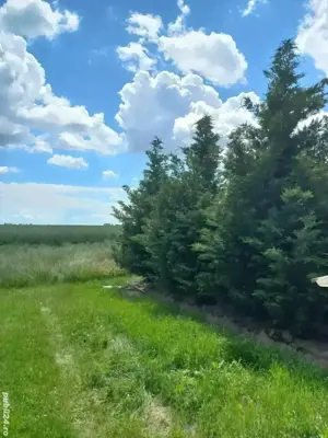 Vand teren intravilan Ghercesti 14000 mp cartier Aeroport