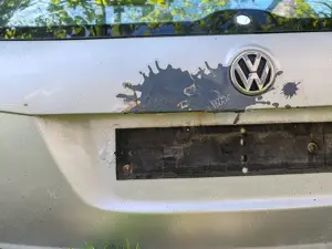 Haion Volkswagen golf 6 - imagine 4