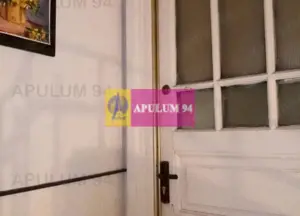 Apartament Elegant in Vila zona Gradina Botanica - imagine 11