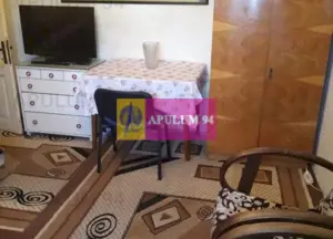 Apartament Elegant in Vila zona Gradina Botanica - imagine 9