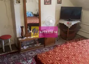 Apartament Elegant in Vila zona Gradina Botanica - imagine 7