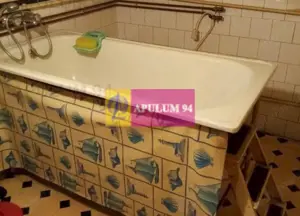 Apartament Elegant in Vila zona Gradina Botanica - imagine 6