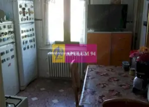 Apartament Elegant in Vila zona Gradina Botanica - imagine 20