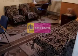 Apartament Elegant in Vila zona Gradina Botanica - imagine 14