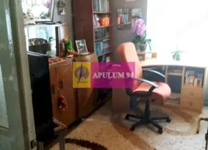 Apartament Elegant in Vila zona Gradina Botanica - imagine 17