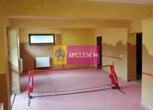 Vila Spatioasa Bucuresti - imagine 5