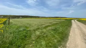 Teren Snagov-Izvorani  - imagine 5