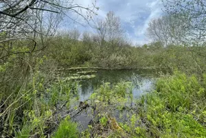 Teren Snagov-Izvorani  - imagine 6