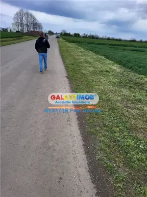 Teren Autostrada A3 Moara Vlasiei 26000 mp  Industrial Depozitare - imagine 3