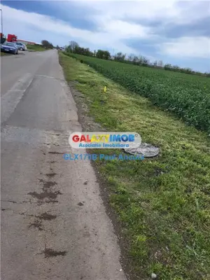 Teren Moara Vlasiei 65000 mp Industrial utilitati apropiere Nod A3