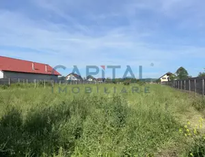 Teren 1369 mp – Strada Panduri / Aleea Constantin Chirița, Târgu Jiu - imagine 3