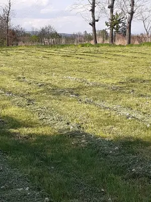 Teren intravilan_5,5 Euro mp, front stradal: 95,19 ml - sat Găgeni, com. Săhăteni, Buzău - imagine 10