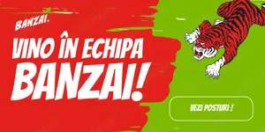 Angajam urgent Sofer Livrator  Distributie - produse snack- Ploiesti