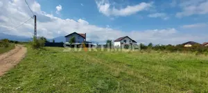 Teren Intravilan Tarlugeni