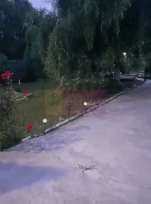 Casa Prahova Comuna Buchilas | 2.800 MP TEREN | Zona Verde | Padure - imagine 11