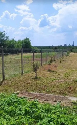 Casa Prahova Comuna Buchilas | 2.800 MP TEREN | Zona Verde | Padure - imagine 12