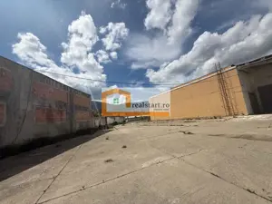 Spatiu Industrial, D 155ml la DJ112A, Acces E68, teren 1,7Ha, - imagine 15