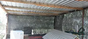 padoc caine sau magazie - imagine 5