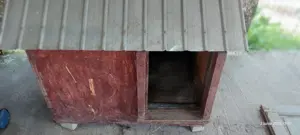 cusca cotet pentru caine mare