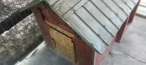 cusca cotet pentru caine mare - imagine 2