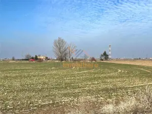 2 PARCELE TEREN INTRAVILAN | 3000mp + 2985mp | NOJORID E671 (Oradea–Salonta) | BIHOR - imagine 8