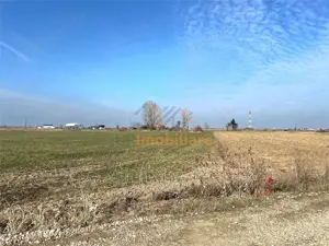 2 PARCELE TEREN INTRAVILAN | 3000mp + 2985mp | NOJORID E671 (Oradea–Salonta) | BIHOR - imagine 6