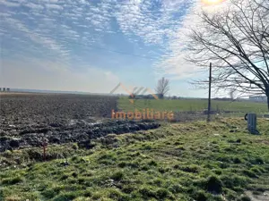 2 PARCELE TEREN INTRAVILAN | 3000mp + 2985mp | NOJORID E671 (Oradea–Salonta) | BIHOR - imagine 2