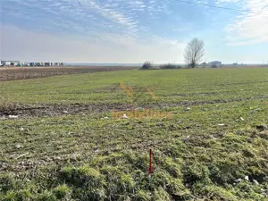 2 PARCELE TEREN INTRAVILAN | 3000mp + 2985mp | NOJORID E671 (Oradea–Salonta) | BIHOR