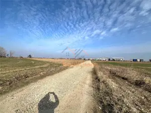 2 PARCELE TEREN INTRAVILAN | 3000mp + 2985mp | NOJORID E671 (Oradea–Salonta) | BIHOR - imagine 5