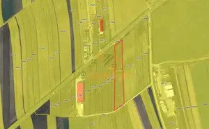 2 PARCELE TEREN INTRAVILAN | 3000mp + 2985mp | NOJORID E671 (Oradea–Salonta) | BIHOR - imagine 10