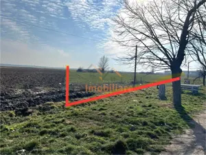 2 PARCELE TEREN INTRAVILAN | 3000mp + 2985mp | NOJORID E671 (Oradea–Salonta) | BIHOR - imagine 3