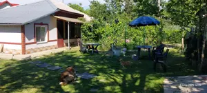 Casa la sosea langa bucuresti 1600mp 100 metri de DN6 E7  30 km de piata unirii - imagine 3