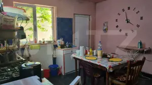 Casa de vanzare cu 4 camere, 110 mp, zona 14 Mai - imagine 5