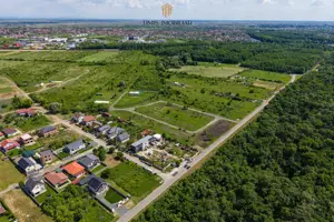 PUZ APROBAT - parcele padure între Timișoara și Ghiroda/Giarmata Vii - imagine 13