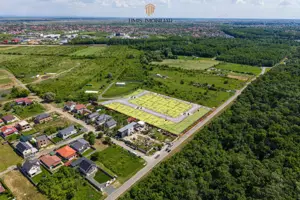 PUZ APROBAT - parcele padure între Timișoara și Ghiroda/Giarmata Vii - imagine 11