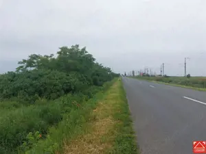 Teren extravilan sos. Arad - Sofronea - imagine 6