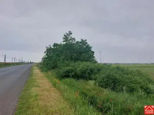 Teren extravilan sos. Arad - Sofronea - imagine 5