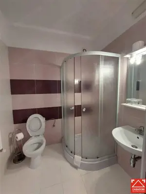 Casa cu 13 camere, pentru activitati diverse, in Micalaca - imagine 10