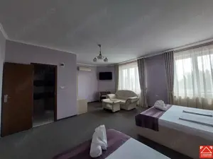 Casa cu 13 camere, pentru activitati diverse, in Micalaca - imagine 12