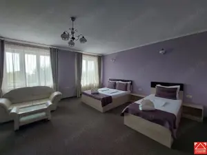 Casa cu 13 camere, pentru activitati diverse, in Micalaca - imagine 9