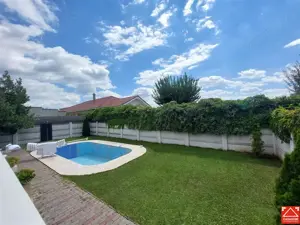 Casa cu 13 camere, pentru activitati diverse, in Micalaca - imagine 20