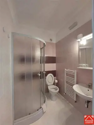 Casa cu 13 camere, pentru activitati diverse, in Micalaca - imagine 14